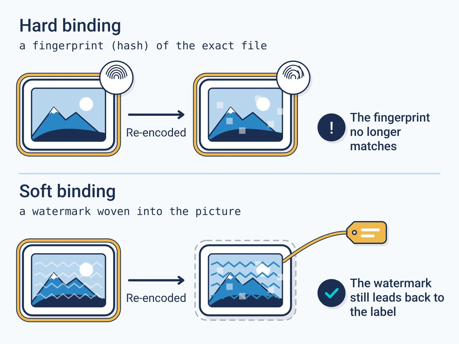 Hard binding is a fingerprint of the exact file, so a re-encode breaks it. Soft binding is a watermark in the picture that still leads back to the label after a re-encode.